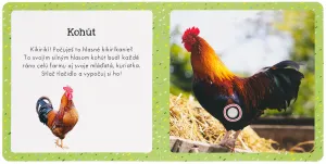 Zvuky pre najmenších Zvieratá z farmy
