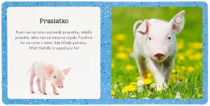 Zvuky pre najmenších Zvieratá z farmy