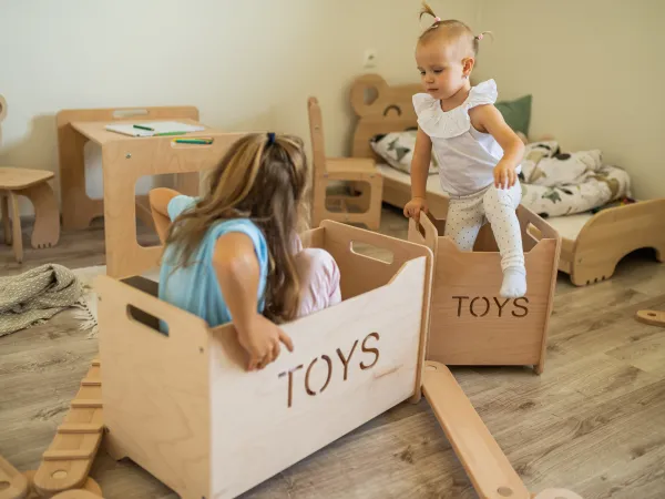 Woodisio Drevený box na hračky pre deti TONI buk Farba: Prírodné drevo, Variant: Mini