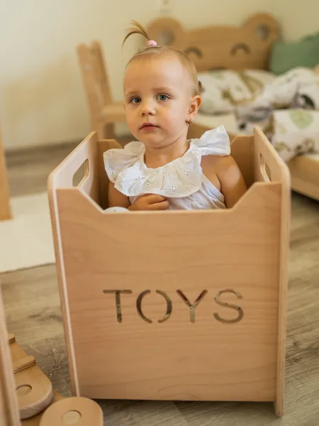 Woodisio Drevený box na hračky pre deti TONI buk Farba: Prírodné drevo, Variant: Mini