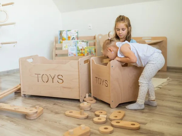 Woodisio Drevený box na hračky pre deti TONI buk Farba: Prírodné drevo, Variant: Mini