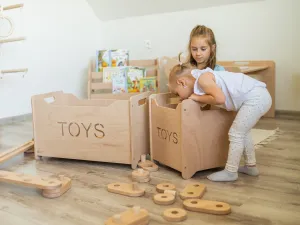Woodisio Drevený box na hračky pre deti TONI buk Farba: Prírodné drevo, Variant: Mini