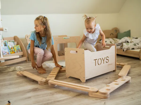 Woodisio Drevený box na hračky pre deti TONI buk Farba: Prírodné drevo, Variant: Mini