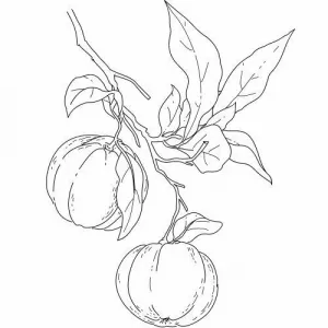 Neroli olej 100% Alteya Organics 5 ml