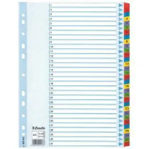 Esselte Dištančné vložky do šanónu Esselte A4 Mylar cardboard (10K055E) 100164