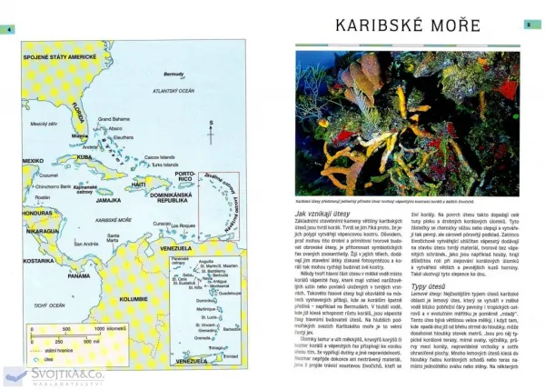 Korálové útesy Karibiku – Určovací příručka pro potápěče