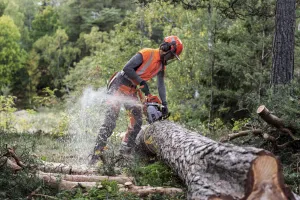Profesionálna reťazová píla HUSQVARNA 550 XPG