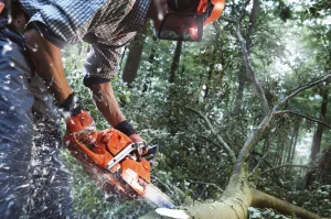 Profesionálna reťazová píla HUSQVARNA 555