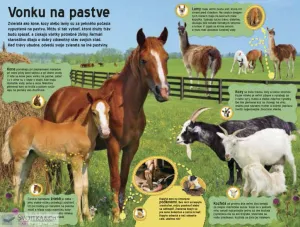 Veľká kniha zvukov na farme