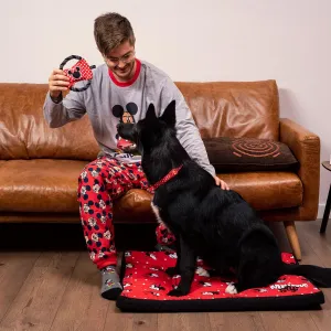 Hračka Minnie Mouse