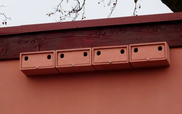BNB Box APK-2 búdka pre sýkorky a vrabce, drevobetón, sivá APK-2 BNB