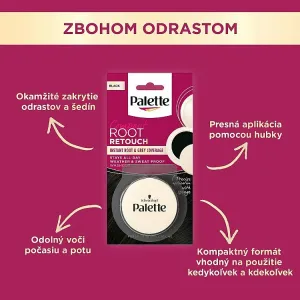 Palette Compact Root Retouch viacúčelový kompaktný púder čierny 3 g