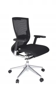 Ergonomická kancelárska stolička Inga Prevedenie: S hlav. opierkou