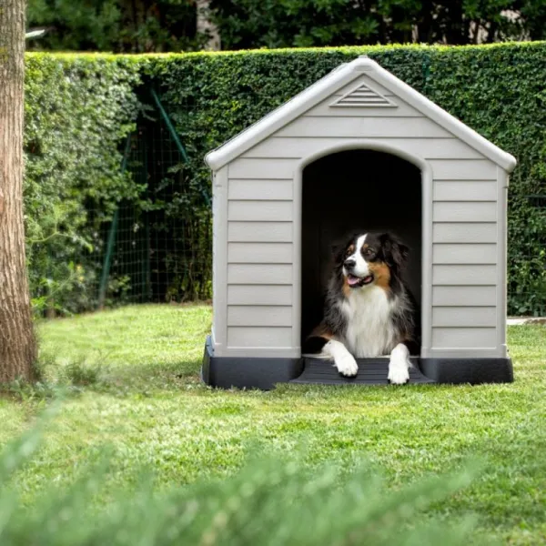 CURVER búda pre psov Dog House sivá, 95 x 99 x 99 cm