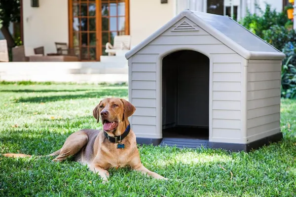 CURVER búda pre psov Dog House sivá, 95 x 99 x 99 cm