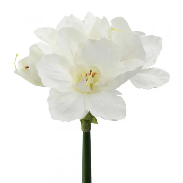 UMELÝ KVET AMARYLLIS I