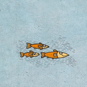 Pucleso - Pod hladinou