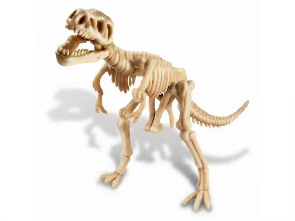 Vykopávka Tyranosaura rexe so skladacou kostrou