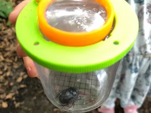 Terra Kids - téglik s lupou na pozorovanie hmyzu