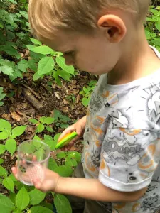 Terra Kids - téglik s lupou na pozorovanie hmyzu