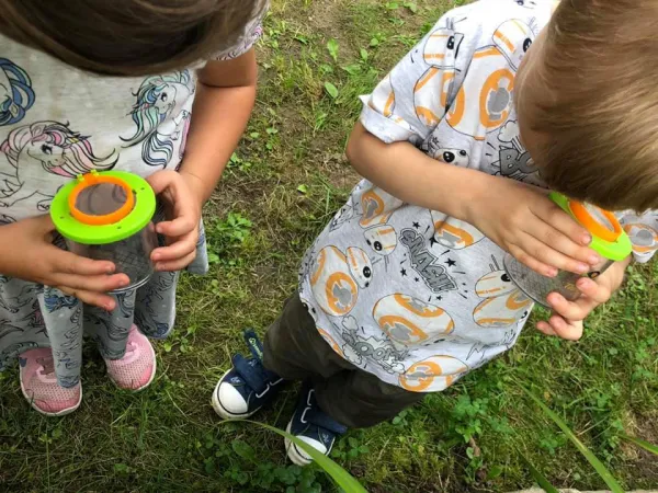 Terra Kids - téglik s lupou na pozorovanie hmyzu