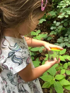 Terra Kids - téglik s lupou na pozorovanie hmyzu