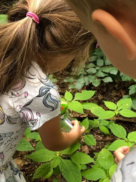 Terra Kids - téglik s lupou na pozorovanie hmyzu