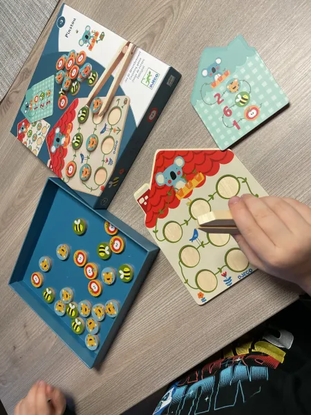 Djeco Pinstou