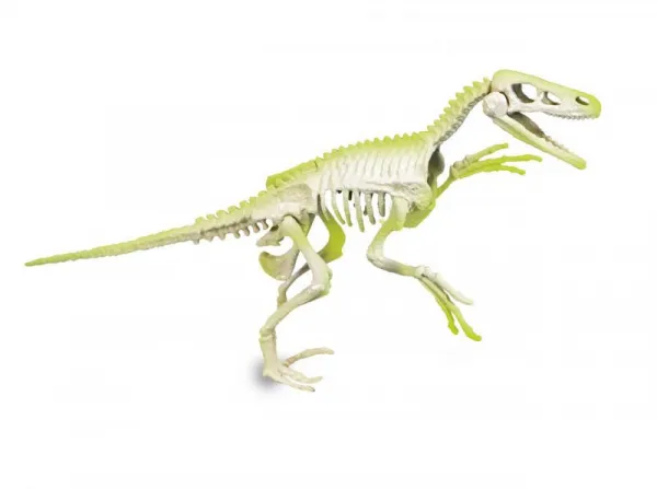 Vykopávky - Velociraptor