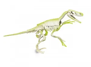 Vykopávky - Velociraptor