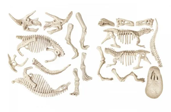 Clementoni Archeo-Fun T-rex a Triceratops