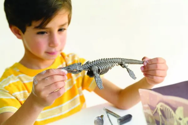 Vykopávka - Mosasaurus - skladacia kostra