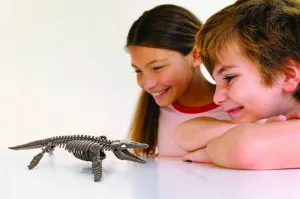 Vykopávka - Mosasaurus - skladacia kostra