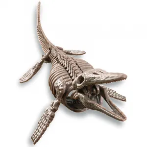 Vykopávka - Mosasaurus - skladacia kostra