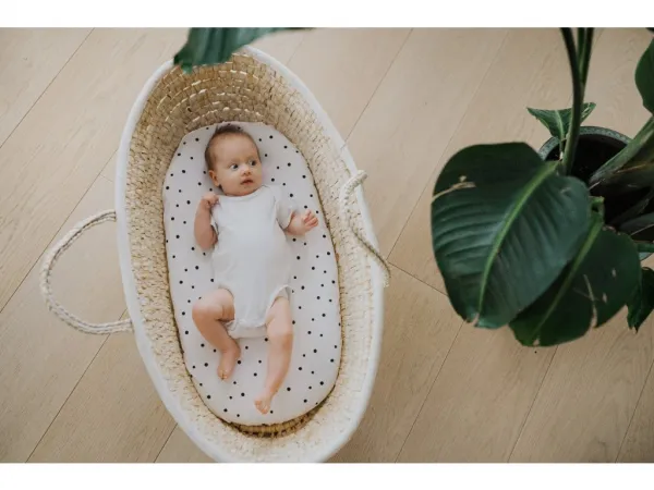 Prestieradlo Sleepee We Care do kočíka, košíka a kolísky čierne bodky/eukalyptus
