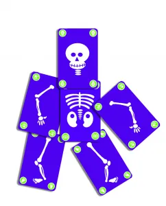 Skeleton - Bogoss - kartová hra
