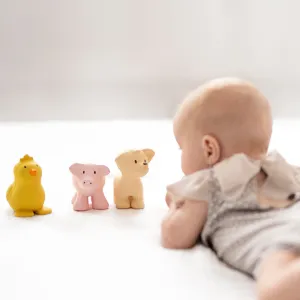 Tikiri hryzadielko a hrkálka z prírodnej gumy Pes