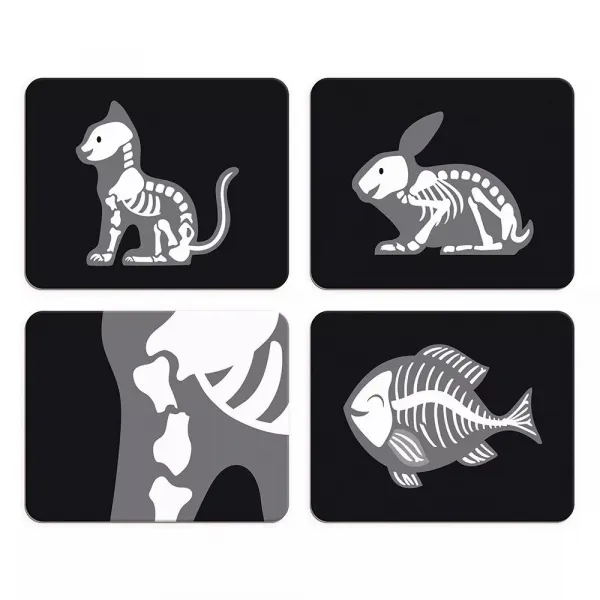 Veterinárny kufrík s príslušenstvom