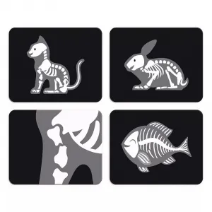 Veterinárny kufrík s príslušenstvom