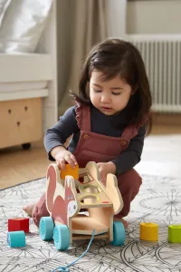 Ťahacia hračka s vkladacími tvarmi - veverička