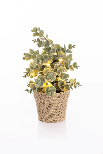 Weltbild LED umělý Eukalyptus v květináči
