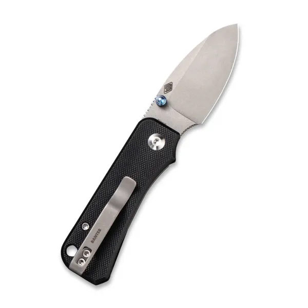 Civivi Baby Banter C19068S-1 Black G10 Nitro-V Blade Gray