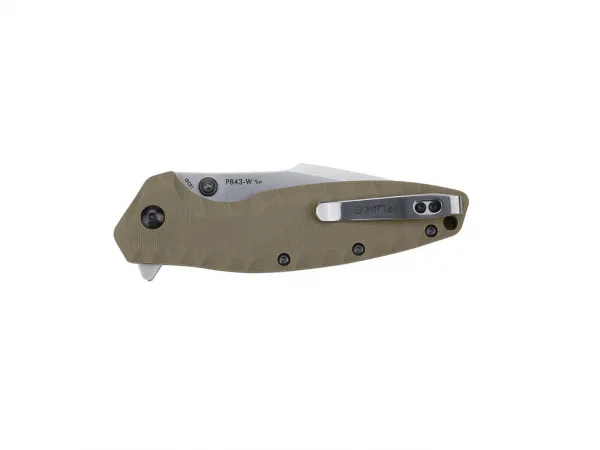 Ruike P843-W