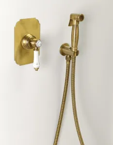 SAPHO 9106