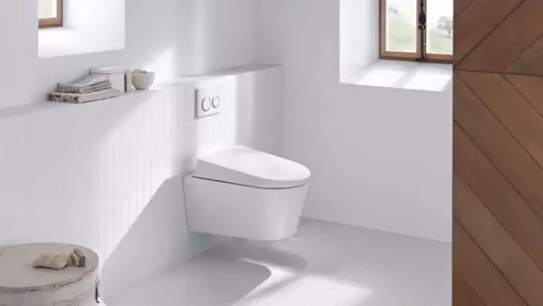 Geberit Omega20 - Ovládacie tlačidlo OMEGA20, biela/pozlátená 115.085.KK.1