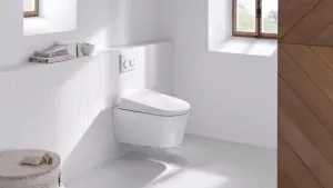Geberit Omega20 - Ovládacie tlačidlo OMEGA20, biela/pozlátená 115.085.KK.1