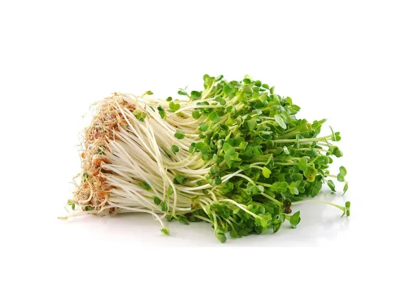 Sonnentor Žerucha - semená na klíčenie 120g