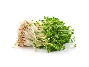 Sonnentor Žerucha - semená na klíčenie 120g