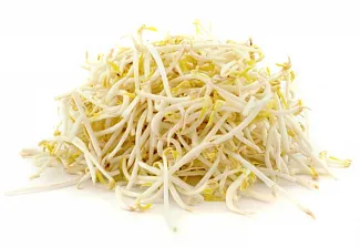 Sonnentor Mungo - semená na klíčenie 120g