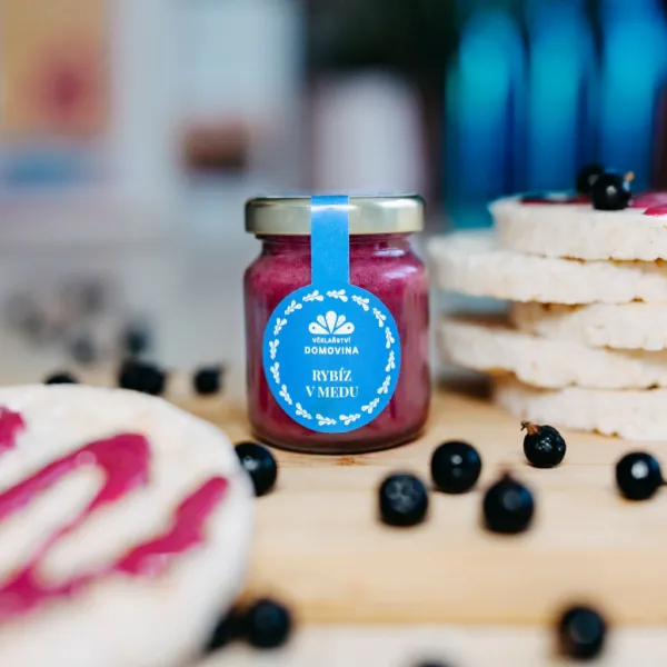 Včelařství Domovina Med s čiernymi ríbezľami 75 g